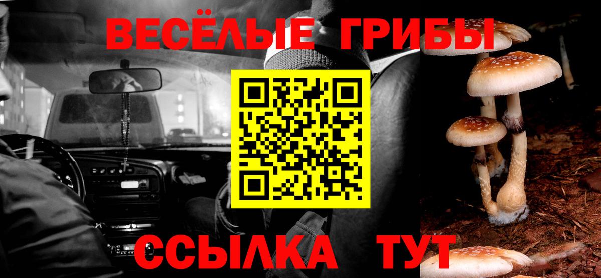 Псилоцибиновые грибы Magic Shrooms Новокубанск