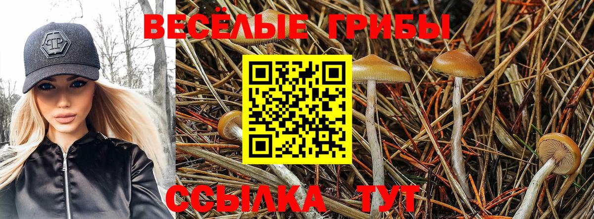 Псилоцибиновые грибы мухоморы  Галлюциногенные грибы ЛСД  Вход с VPN  Новокубанск 